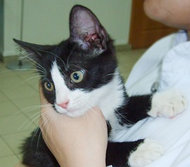 757 X 666 294.8 Kb 917 X 1140 603.3 Kb 710 X 930 417.6 Kb   " "    !