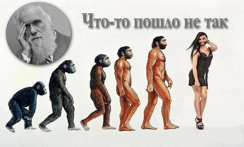 1023 X 618  77.8 Kb Улыбнемся?