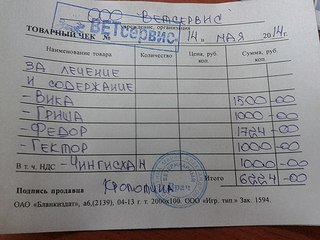 604 X 453 56.1 Kb Кошки в стационаре Ветсервиса. Нужна материальная помощь!