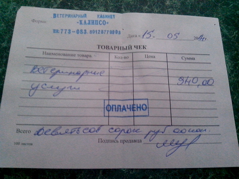 1920 X 1440 544.2 Kb Жесть... Собаку НЕ сбил поезд... У собаки САРКОМА! Ему поддержка просто необходимы!