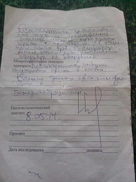 1920 X 2560 389.0 Kb 1920 X 2560 476.3 Kb 1920 X 1440 544.2 Kb Жесть... Собаку НЕ сбил поезд... У собаки САРКОМА! Ему поддержка просто необходимы!