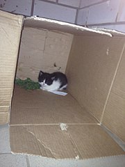 768 X 1024 107.7 Kb        .