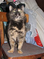 768 X 1024 151.7 Kb 768 X 1024 139.2 Kb     