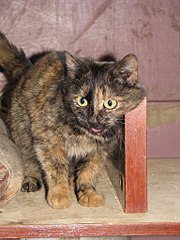 768 X 1024 177.6 Kb 768 X 1024 151.7 Kb 768 X 1024 139.2 Kb     