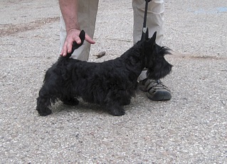 1920 X 1382 884.2 Kb    