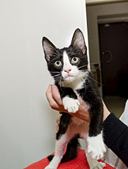 1516 X 2000 222.8 Kb   ' '    !