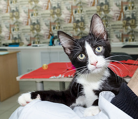 1920 X 1641 785.5 Kb   ' '    !