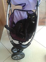 768 X 1024 100.1 Kb 768 X 1024 125.3 Kb     