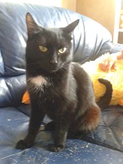 768 X 1024 110.4 Kb 768 X 1024 100.1 Kb 768 X 1024 125.3 Kb     