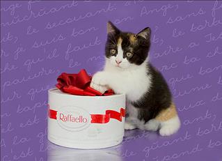 1024 X 742 66.5 Kb 1024 X 740 68.0 Kb    !