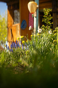 597 X 900 351.3 Kb 1000 X 663 426.5 Kb -  sony nex = booster+50/1.7