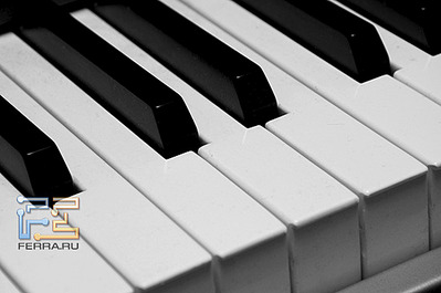 550 X 365 42.2 Kb MIDI   : M-Audio Keystation Pro 88 