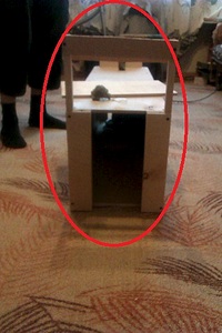 346 X 519 113.0 Kb   .