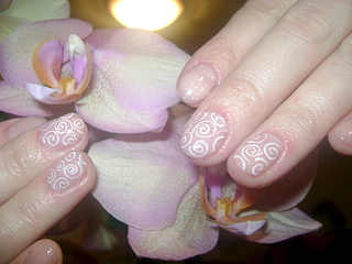 1920 X 1440 130.8 Kb    - . !