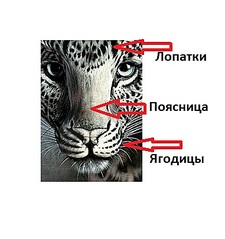 381 X 405  42.1 Kb WOOMEN 