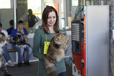 1000 X 667 103.0 Kb 1000 X 667 124.2 Kb 1000 X 667 107.8 Kb 17-18 мая выставка кошек г. Ижевск