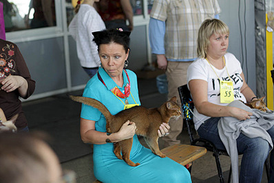 1000 X 667 120.8 Kb 1000 X 667 141.4 Kb 1000 X 667 99.6 Kb 1000 X 667 129.1 Kb 17-18 мая выставка кошек г. Ижевск