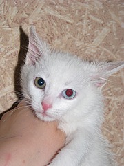 1920 X 2560 890.3 Kb 1920 X 2560 995.4 Kb   !