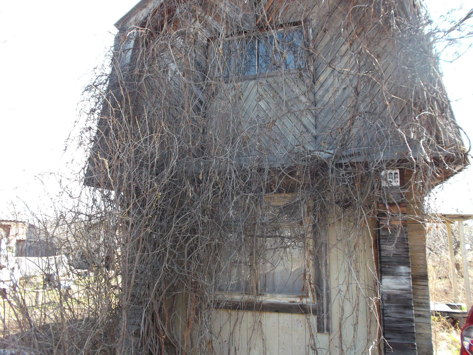 Погода снт урал. Погода снт урал. Снт урал 3 миасс. Снт урал уфа. Днт урал уфа.