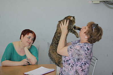 1000 X 667  95.4 Kb 1000 X 667 111.7 Kb 1000 X 667  85.8 Kb 1000 X 667  83.6 Kb 1000 X 667 108.7 Kb 17-18 мая выставка кошек г. Ижевск