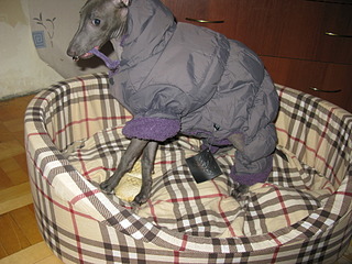 1920 X 1440 736.0 Kb     