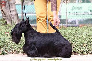 720 X 480 55.0 Kb 800 X 533 93.1 Kb  