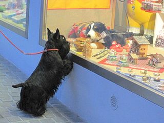 960 X 720 90.6 Kb 720 X 480 55.0 Kb 800 X 533 93.1 Kb  