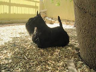 720 X 540 66.8 Kb 720 X 468 52.3 Kb  