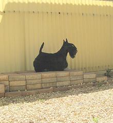 662 X 720 53.7 Kb 720 X 540 66.8 Kb 720 X 468 52.3 Kb  