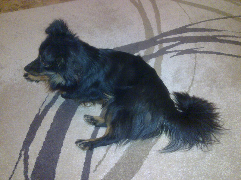 1920 X 1440 529.3 Kb   !