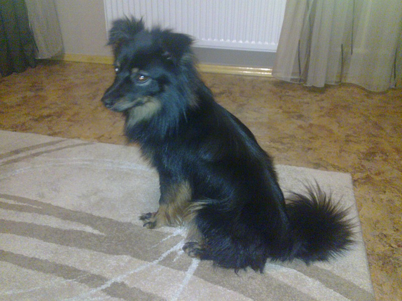 1920 X 1440 490.4 Kb 1920 X 1440 481.0 Kb 1920 X 1440 527.3 Kb 1920 X 1440 529.3 Kb   !