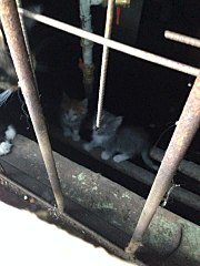 720 X 960 128.3 Kb 720 X 960 143.2 Kb 720 X 960 188.8 Kb  !   .