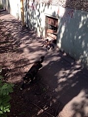 720 X 960 181.4 Kb 720 X 960 172.1 Kb  !   .