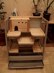 1920 X 2560 333.0 Kb  