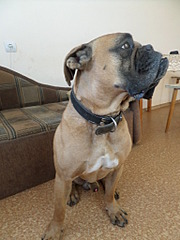 768 X 1024 216.6 Kb 1280 X 720 104.2 Kb        