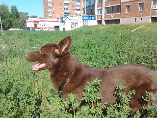 1920 X 1440 440.1 Kb 1920 X 1440 484.6 Kb 1920 X 1440 486.9 Kb 