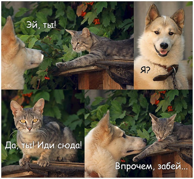 1200 X 1109 220.8 Kb Улыбнемся?