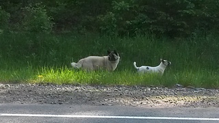 1920 X 1080 527.3 Kb 1920 X 1080 562.5 Kb   