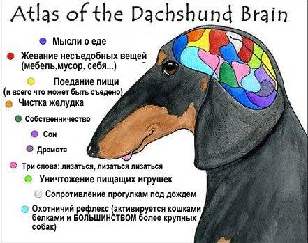 441 x 349 Улыбнемся?