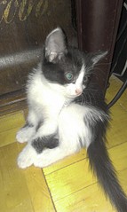 1552 X 2592 698.0 Kb         