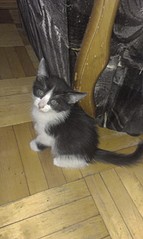 1552 X 2592 667.6 Kb 1552 X 2592 698.0 Kb         