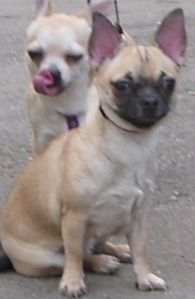 195 x 299 400 x 300 766 X 1149 229.4 Kb     