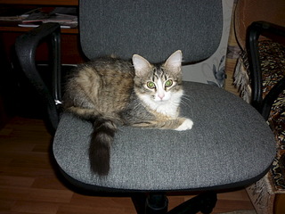 1920 X 1440 759.5 Kb  