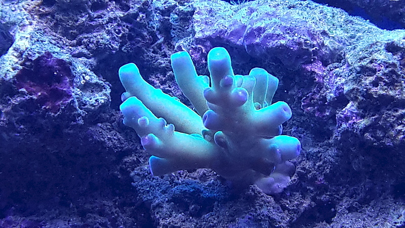 1920 X 1080 908.3 Kb 1920 X 3413 843.4 Kb 1920 X 1080 599.5 Kb Глубокое синее море.