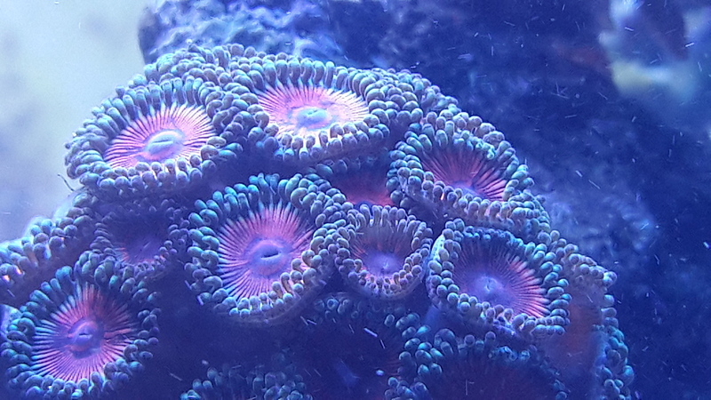 1920 X 1080 757.0 Kb Глубокое синее море.