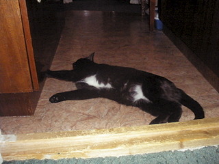 1920 X 1440 543.6 Kb 1920 X 1440 552.8 Kb      (