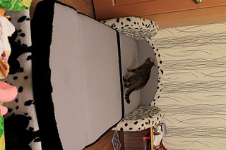 1920 X 1280 479.6 Kb    