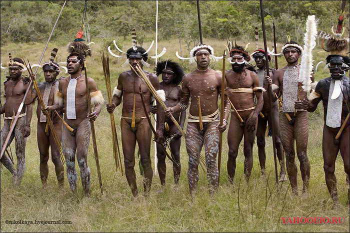 700 x 467 21.06.2014      ( 2014)