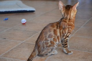 604 X 400  38.8 Kb 604 X 400  38.2 Kb 604 X 400  31.3 Kb  