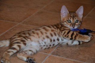 604 X 400  38.5 Kb 1920 X 1272 222.1 Kb 604 X 400  21.5 Kb  